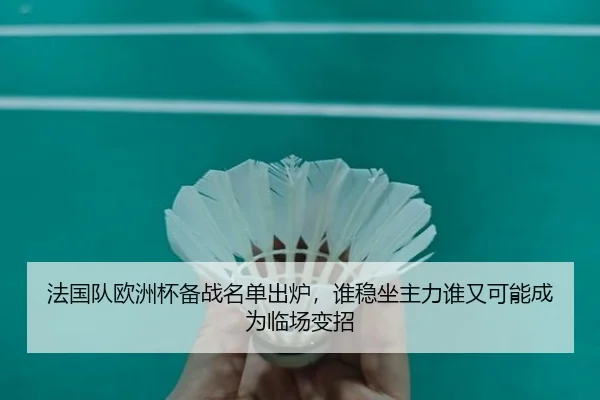 法国队欧洲杯备战名单出炉，谁稳坐主力谁又可能成为临场变招 | lansedaohang
